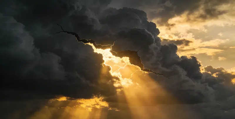 白山肺癌12基因ctDNA突变检测(血液）图片1