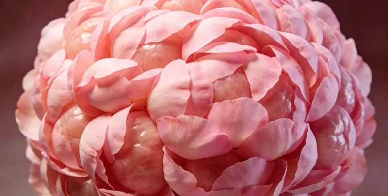 白山BRCA1/2乳腺癌卵巢癌基因检测图片1